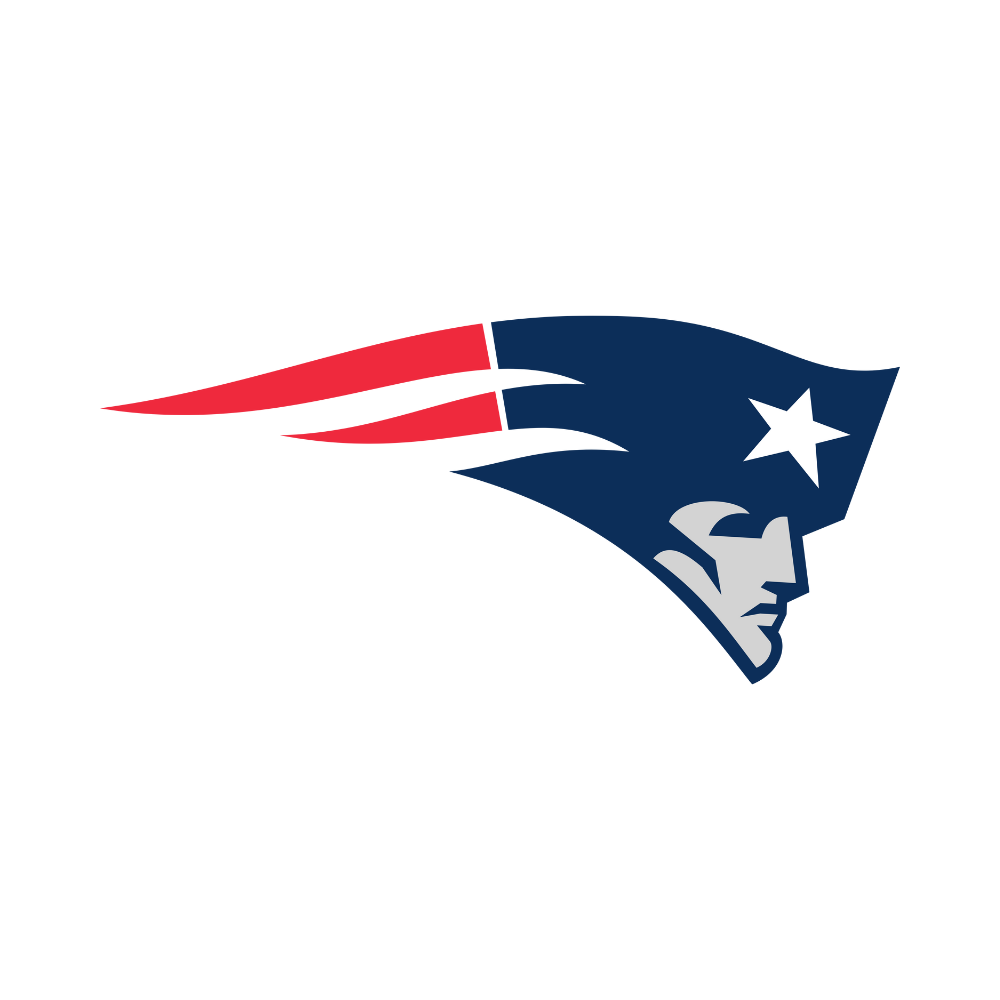New England Patriots Pet Striped Jersey