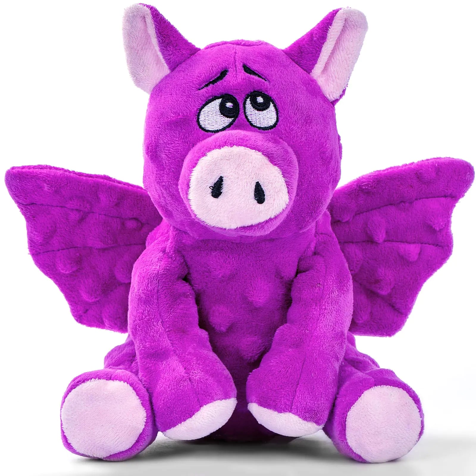 Plush Squeaky Dog Toy with Crinkle Paper for Dogs of All Sizes