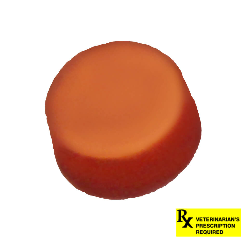 Rx NexGard Dog 4-10lbs x 1 tablet