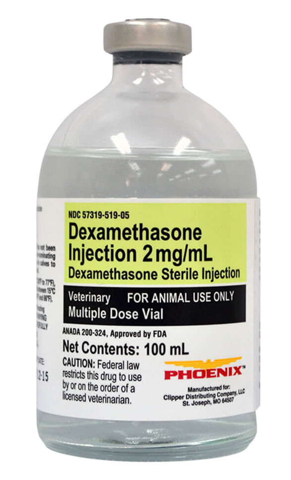 Rx Dexamethasone 2mg/ml x 100ml injectable