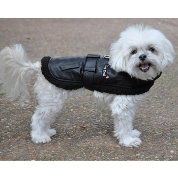 Luxurious Designer Faux Leather Harness Coat & Leash