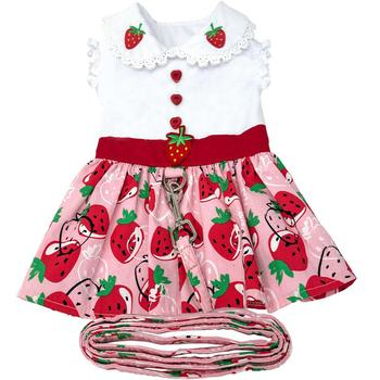 Strawberry Picnic Dog Dress & Matching Leash