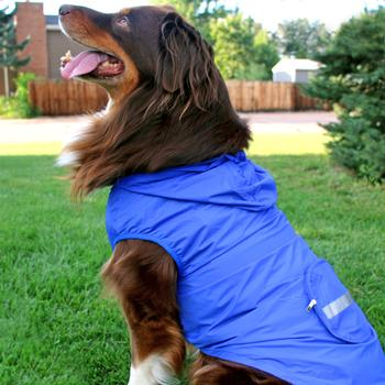 The Packable Raincoat/Windbreaker - Cobalt Blue