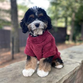 Soft & Plush Pullovers - 3 Colors!