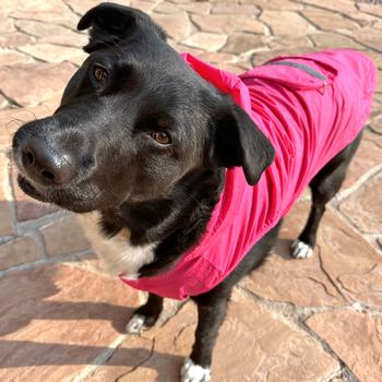 The Packable Raincoat/Windbreaker - Hot Pink
