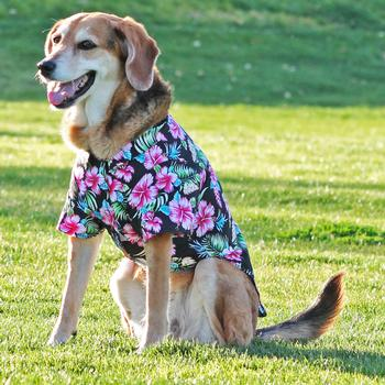 Paradise Nights Hawaiian Camp Shirt
