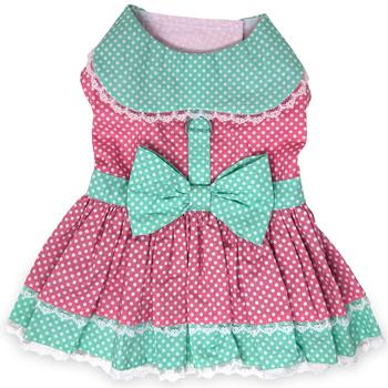LIMITED QUANTITIES! Pink & Teal Polka Dot and Lace Dog Dress with Matching Leash