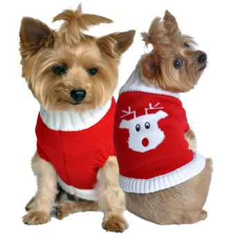 Rudolph Holiday Dog Sweater with White Trim (Buy Now! Sells Fast!)