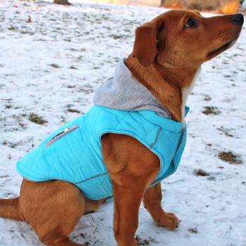 Quilted Dog Hoodie Vest - Sky Blue