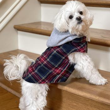 Red & Black Plaid Flannel Hoodie Vest