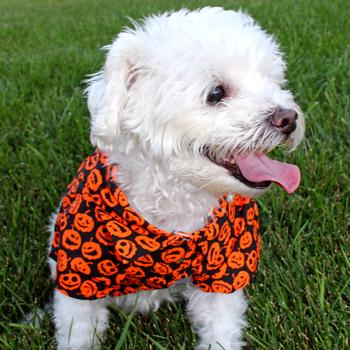 Halloween Jack-o-Lantern Camp Shirt
