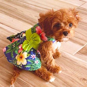 Blue Lagoon Hawaiian Hibiscus Dog Dress & Matching Leash