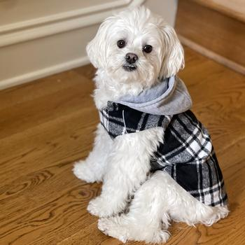 Black & White Plaid Flannel Hoodie Vest