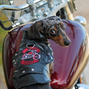 Vintage Faux Leather Biker/Motorcycle Dog Jacket - Black