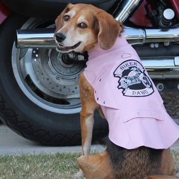Vintage Faux Leather Biker/Motorcycle Dog Jacket - Pink