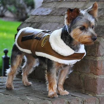 The Faux Leather Bomber Coat/Harness & Leash Set
