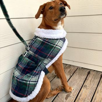 Blue & Green Plaid Sherpa-Lined Dog Coat/Harness & Leash Set
