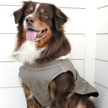 Alpine Tuff Terrain Dog Coat - Dried Sage