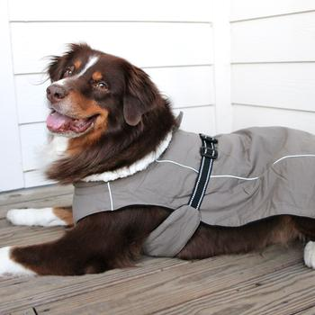 Alpine Tuff Terrain Dog Coat - Dried Sage