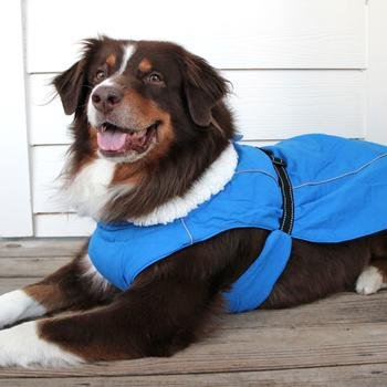 Alpine Tuff Terrain Dog Coat - Mountain Lake