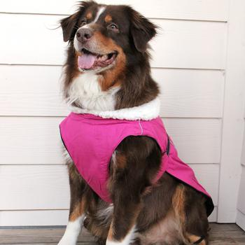 Alpine Tuff Terrain Dog Coat - Wild Raspberry