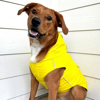 City Slicker Raincoat with Striped Lining