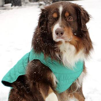 Extreme Weather Puffer Coats - 3 Colors!