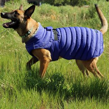 Extreme Weather Puffer Coats - 3 Colors!