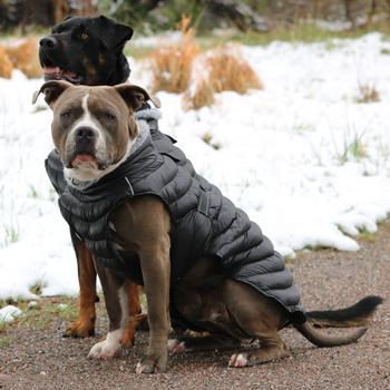 Extreme Weather Puffer Coats - 3 Colors!