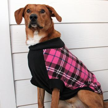 Highline Fleece Dog Coats - 3 Colors!