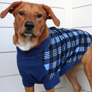 Highline Fleece Dog Coats - 3 Colors!