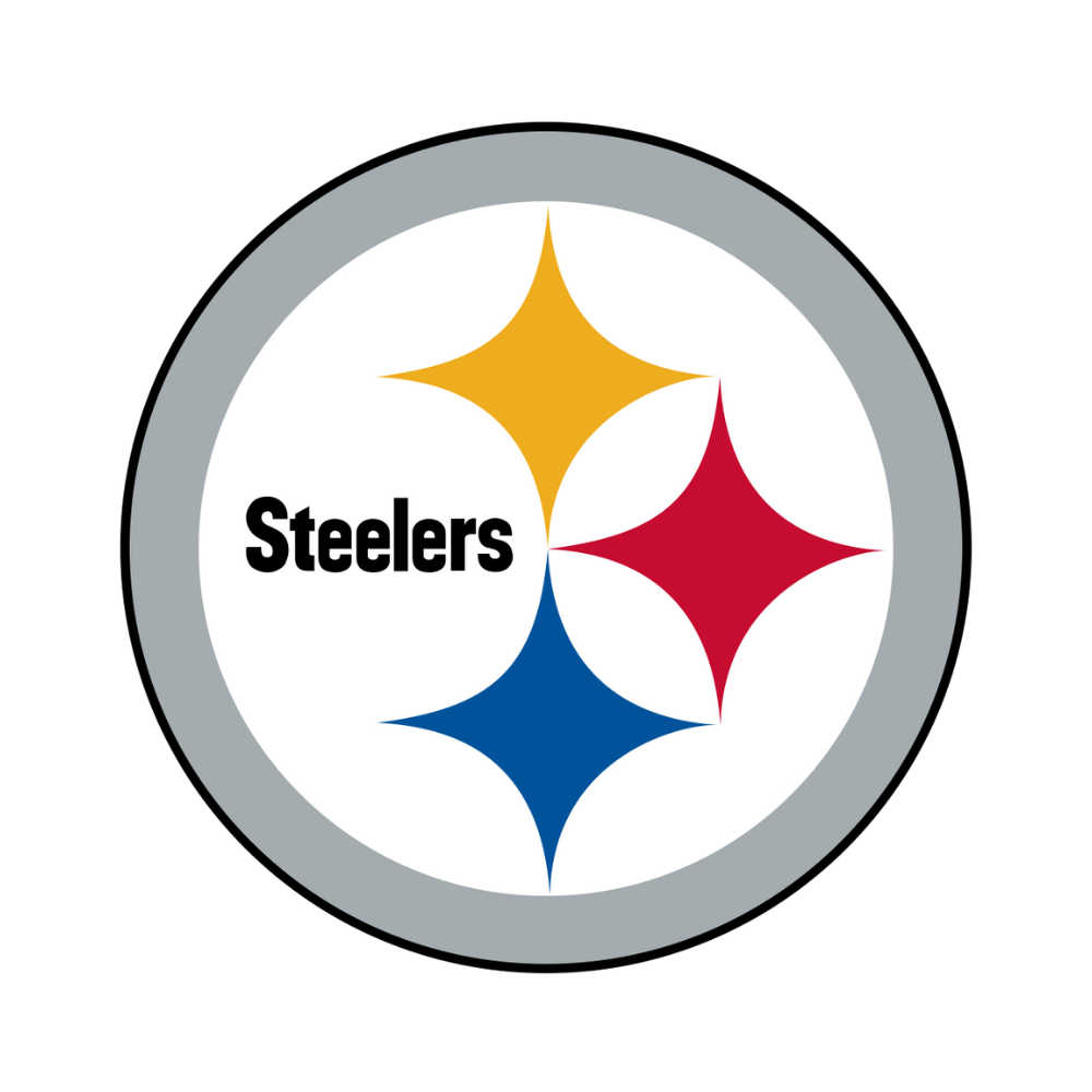 Pittsburgh Steelers Pet Striped Jersey