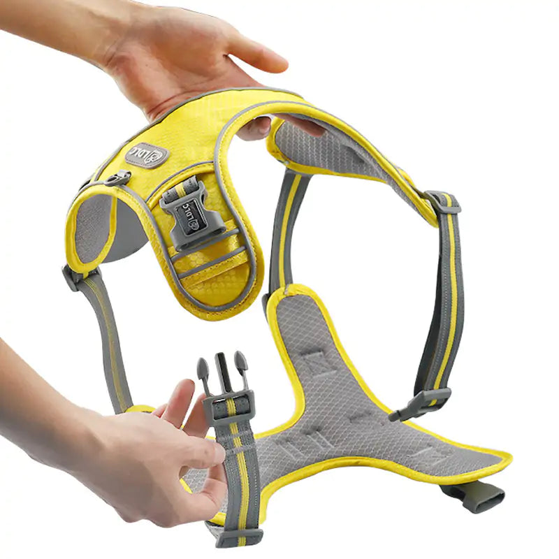 The Ideal Dog Harness