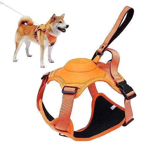 Practical Dog Harness and Retractable Leash Set