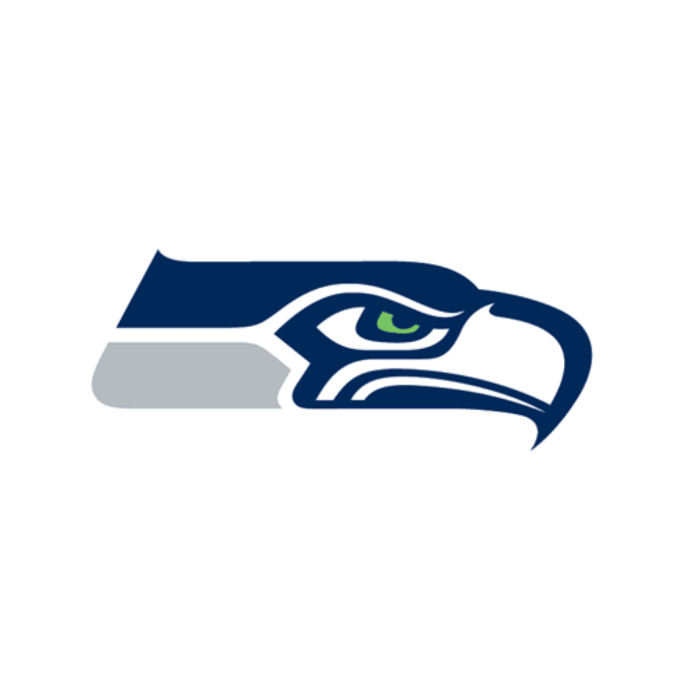 Seattle Seahawks Striped Pet Jersey