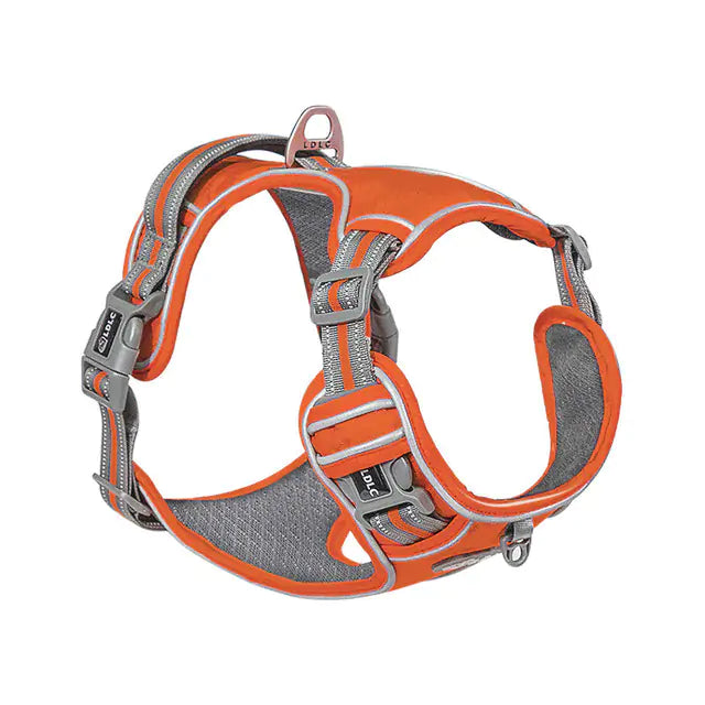 The Ideal Dog Harness