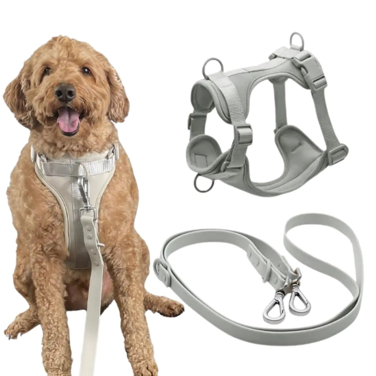 Medium No-Pull Dog Harness and Leash Set