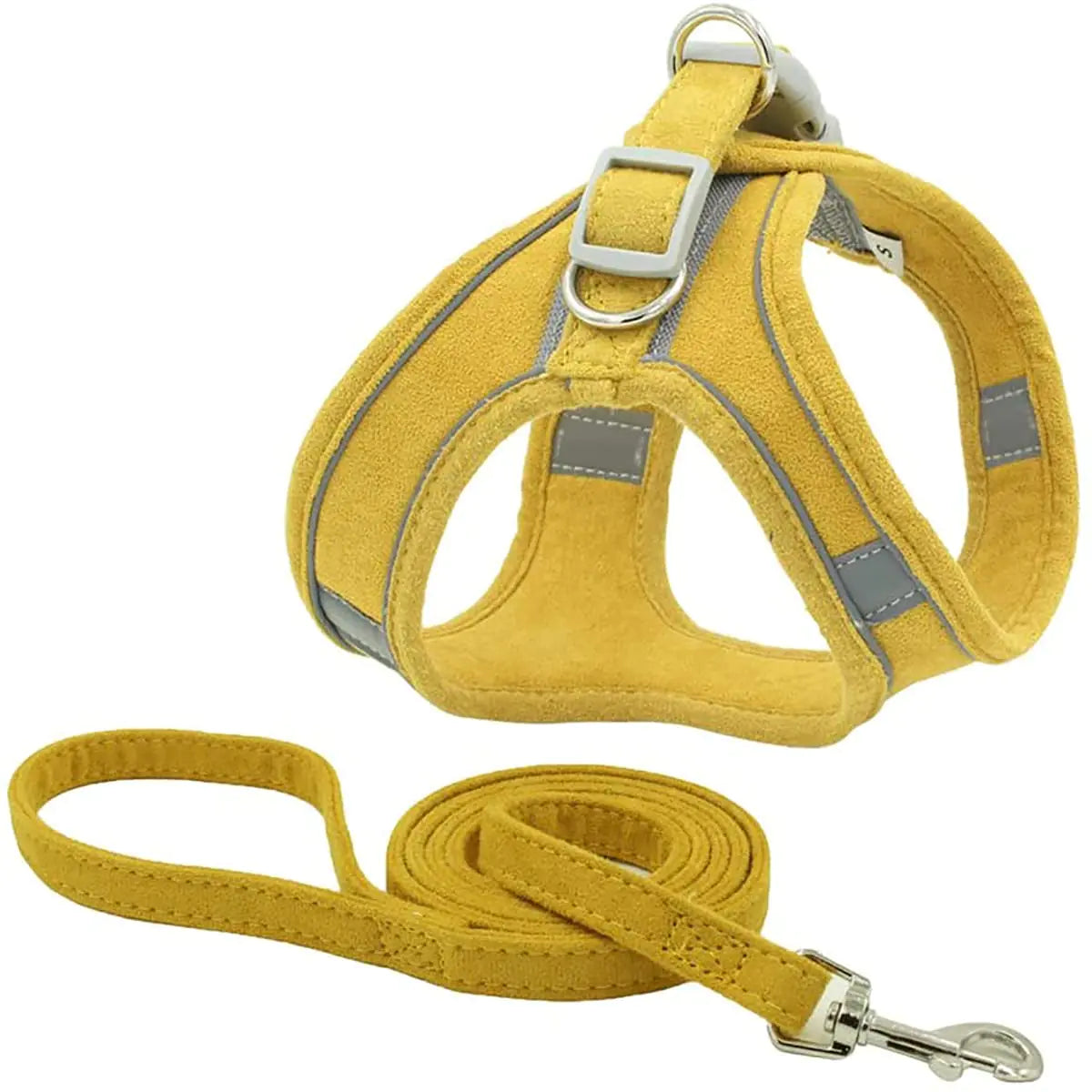 XL Dog Harness and Leash Set