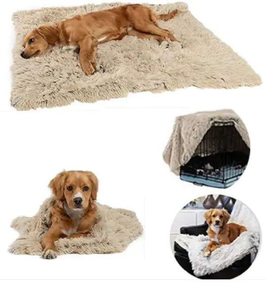 My Fuzzy Fashionista Pet Blanket