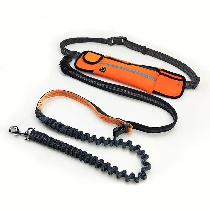 Hands-Free Shock Absorbing Bungee Dog Leash