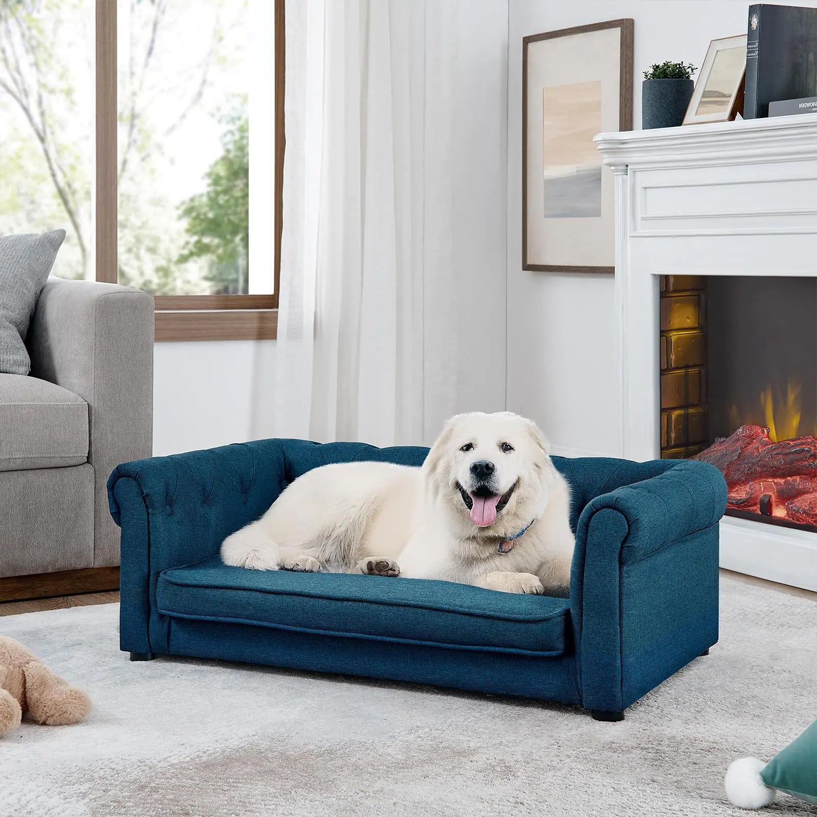 Elegant Large Dog Memory Foam Couch