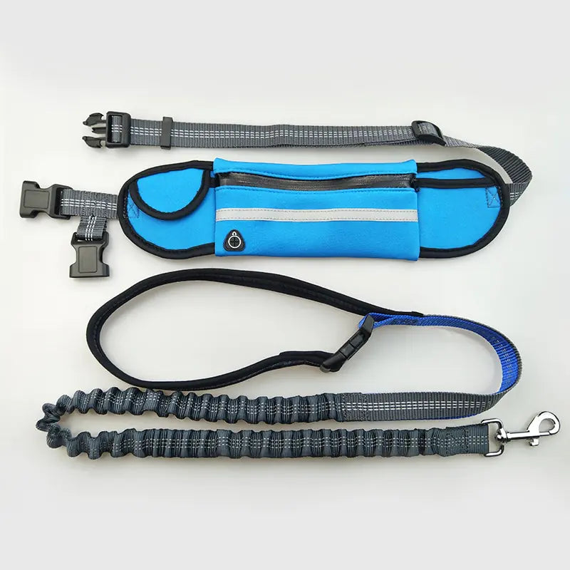 Hands-Free Shock Absorbing Bungee Dog Leash