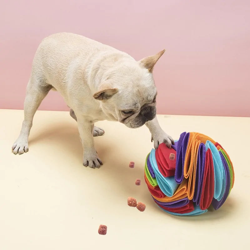 My Baby Dog's Snuffle Ball Toy