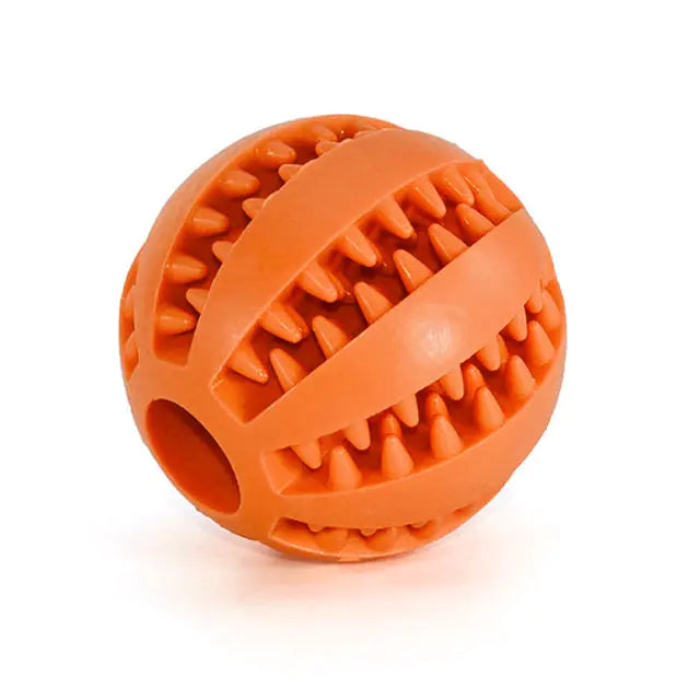 Interactive Rubber Fetch & Chew Toy