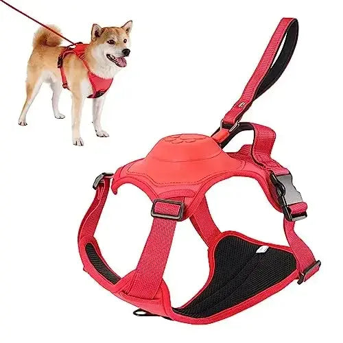 Practical Dog Harness and Retractable Leash Set