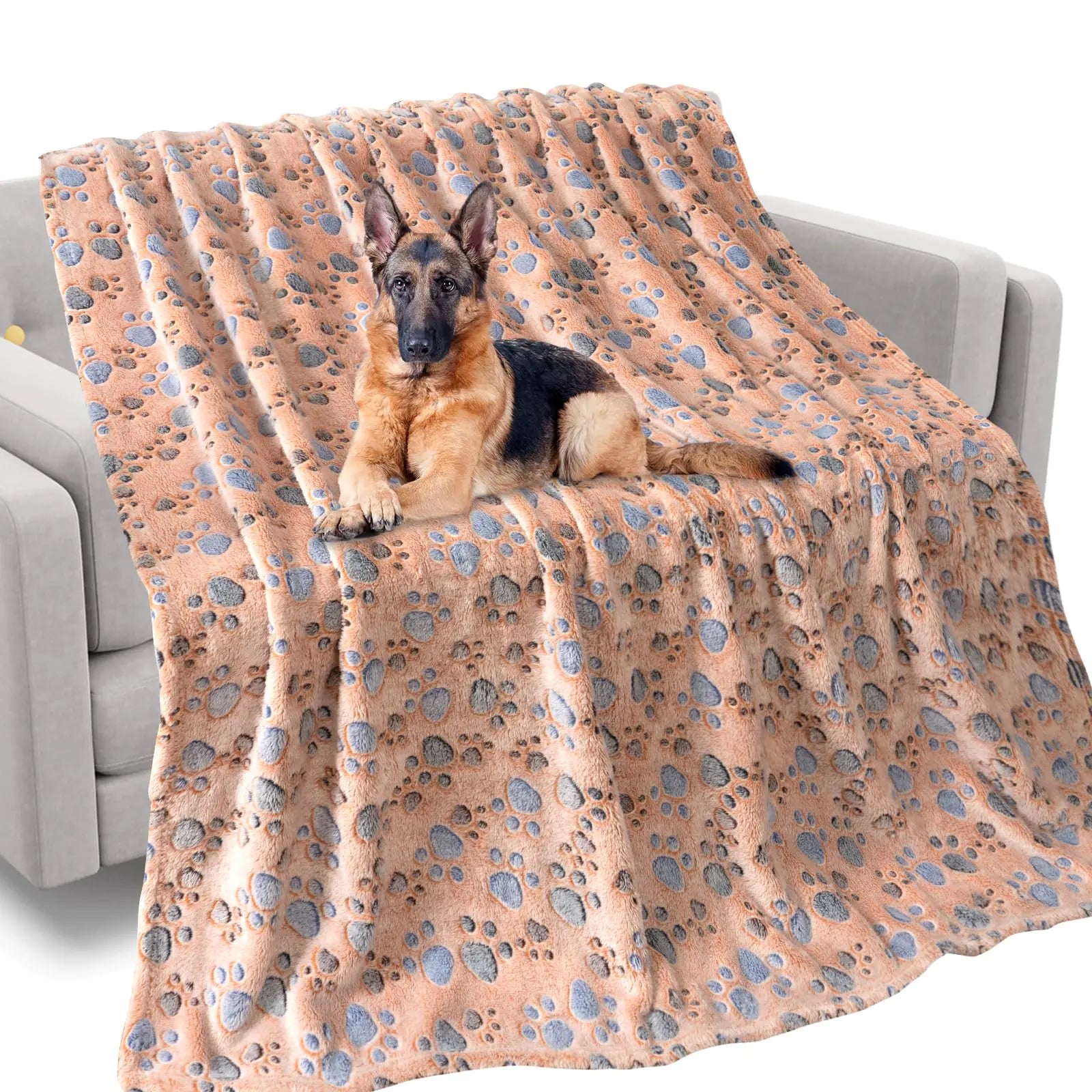 Soft & Cozy Pet Blanket