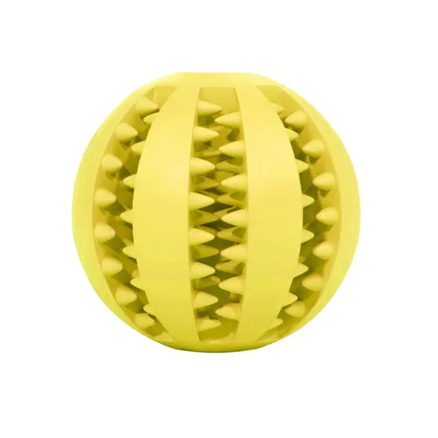 Interactive Rubber Fetch & Chew Toy