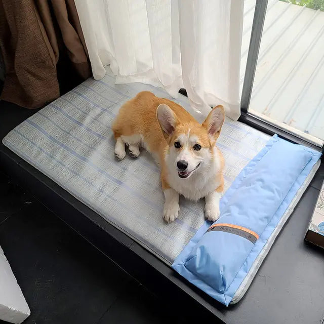HOOPET Summer Dog Bed Thick or Thin Cooling Mat