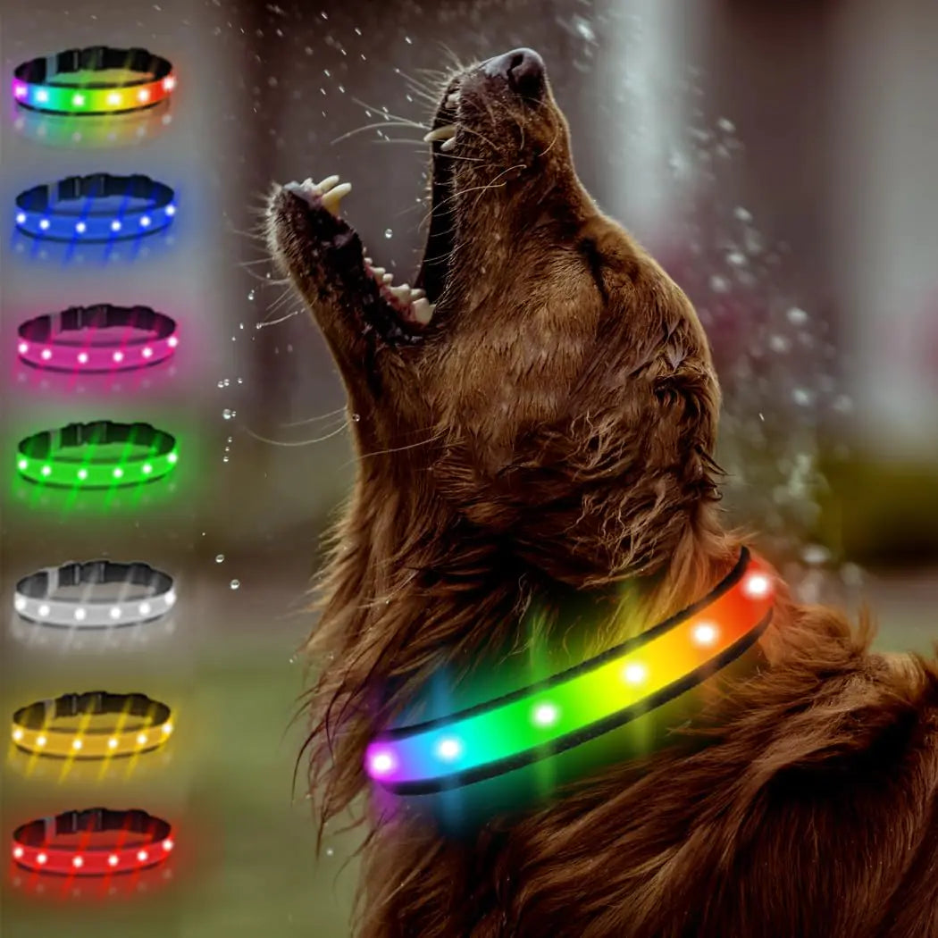 Light Up Dog Collar – Rechargeable LED Glow in the Dark for Night Walking