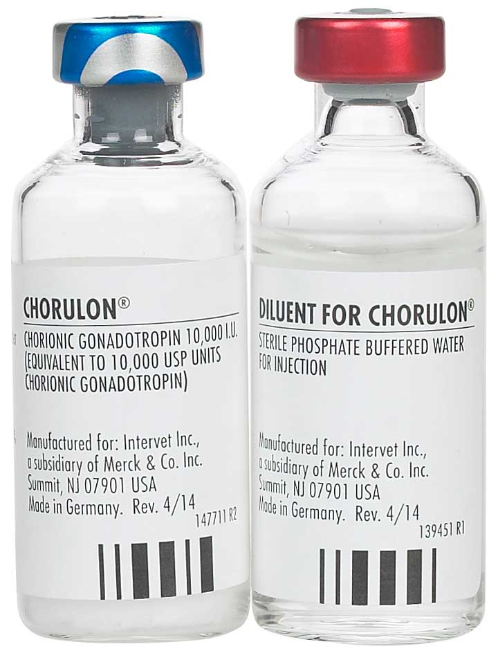 Rx Chorulon HCG 10 000IU injection x 10ml bottle